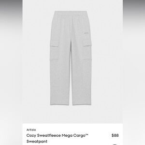 TNA Gray Cargo Pants